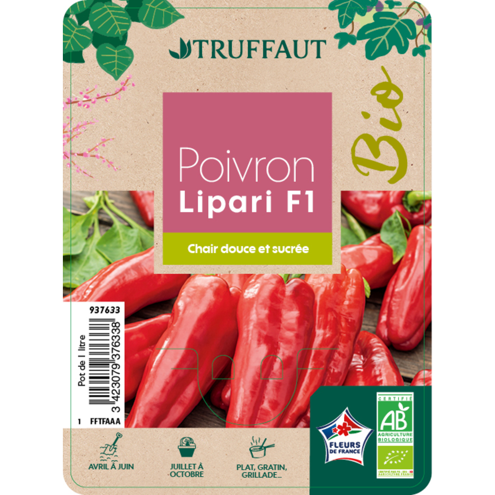 Plants de poivron doux 'Lipari' F1 AB : pot de 1L
