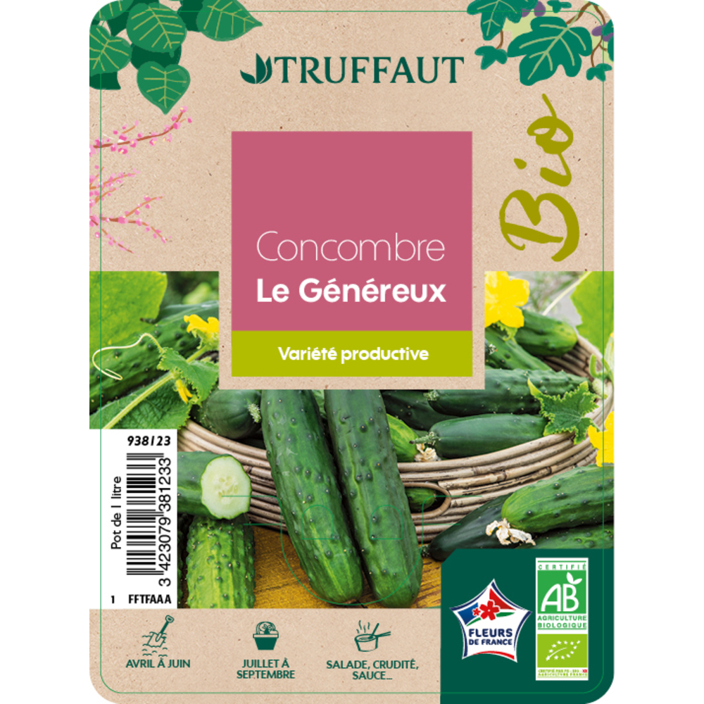 Plants de concombre 'le Généreux' bio : pot de 1 litre