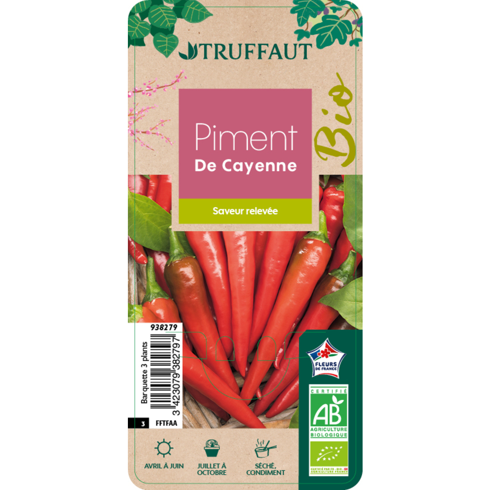 Plant de piment de Cayenne Bio : barquette 3 plants