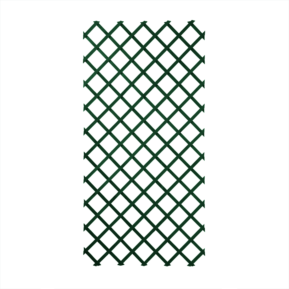 Treillis extensible en pin 100x200cm vert