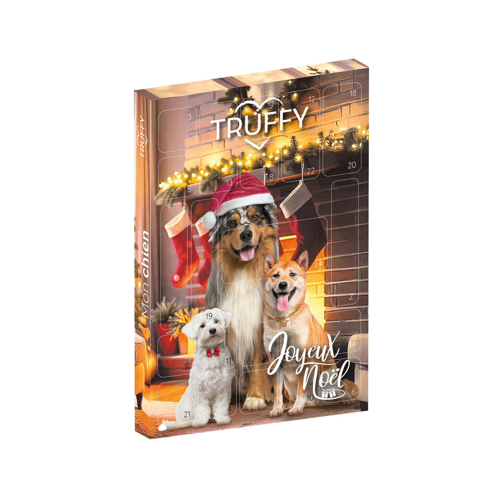 Calendrier de l'avent pour chien