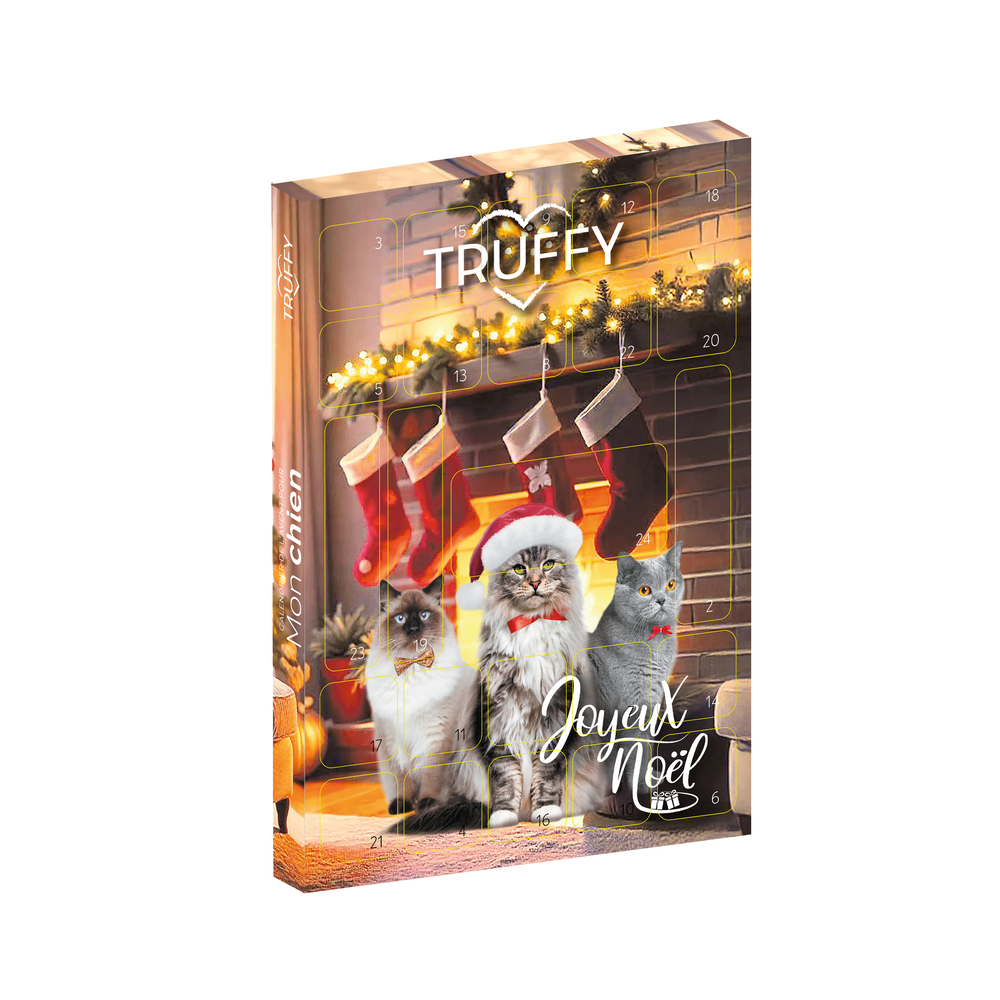 Calendrier de l'avent Chat