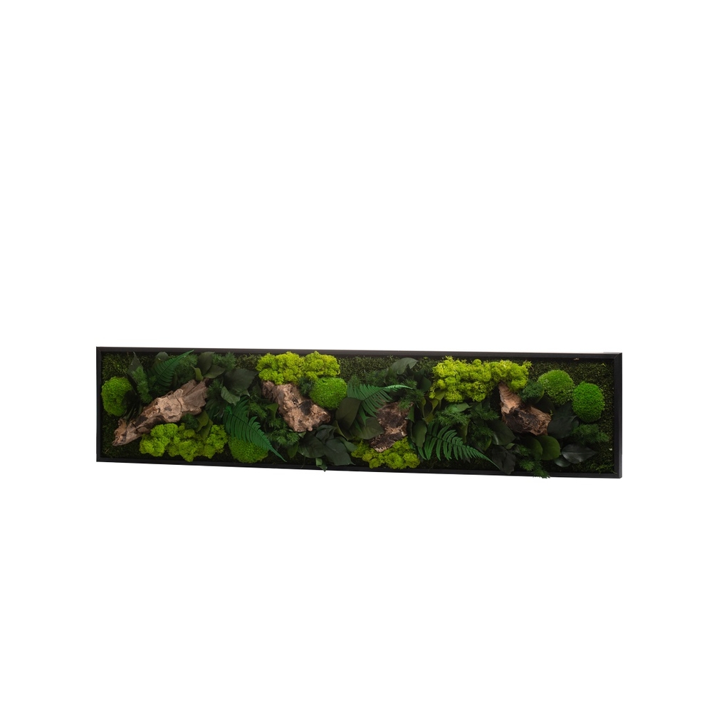 Cadre végétal stabilisé Canopé Panoramic XL