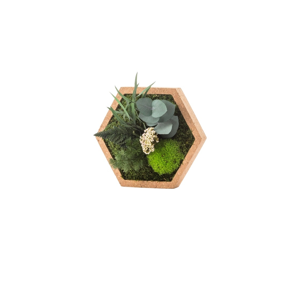 Cadre végétal stabilisé Hexagonale Nature S