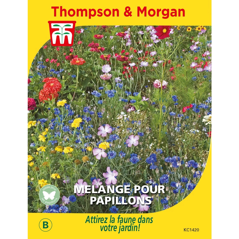Graines de fleurs pour Papillons