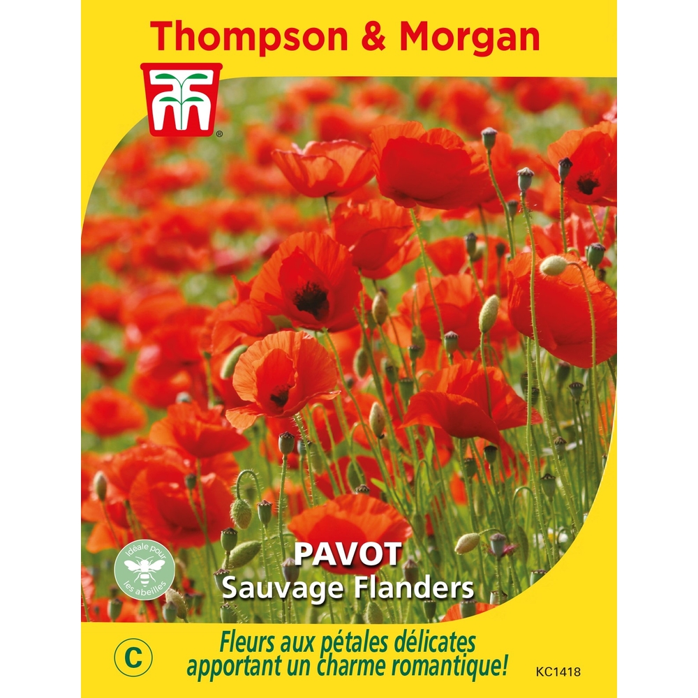Graines de Pavot Sauvage Flanders