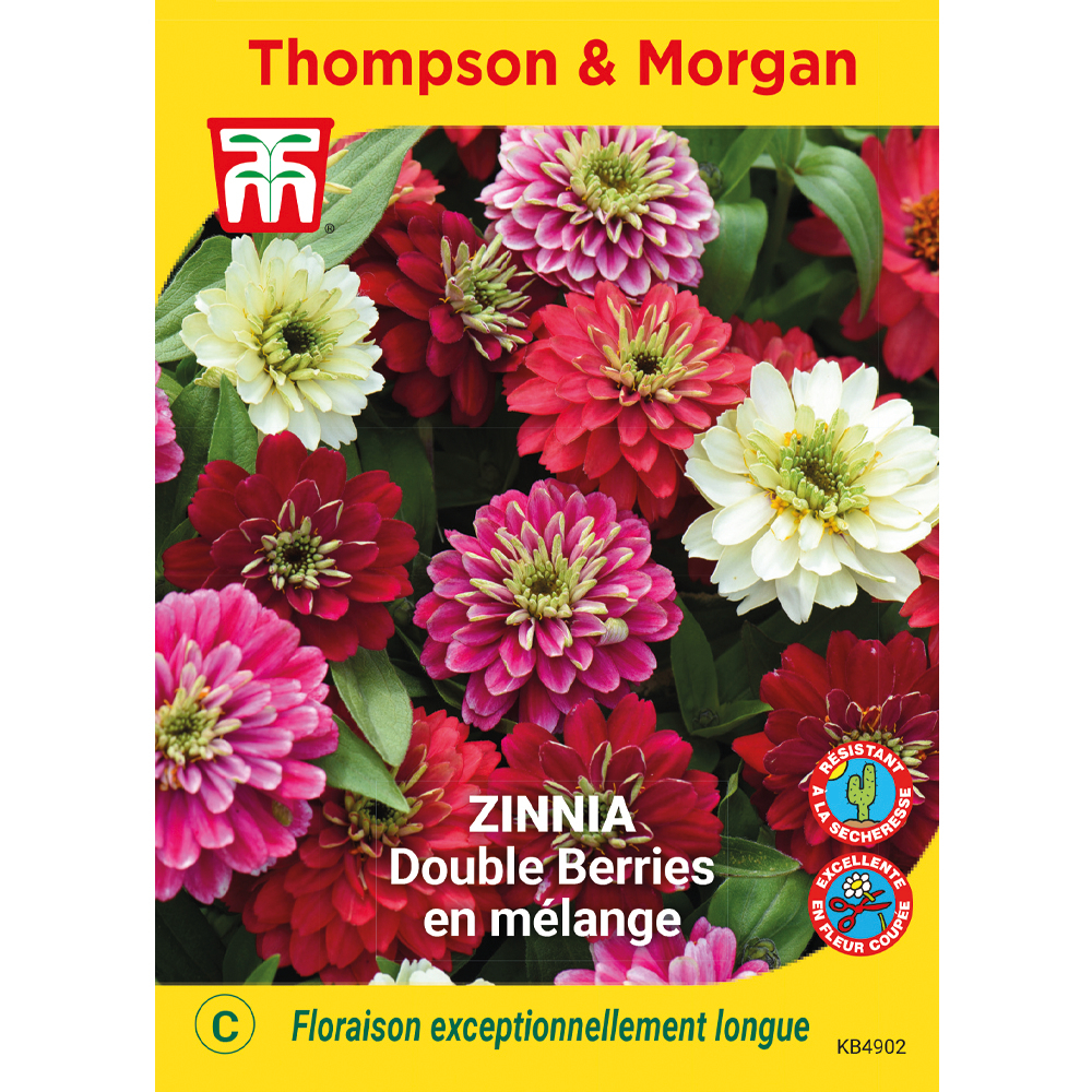 Graines de Zinnia Double Berries en mélange