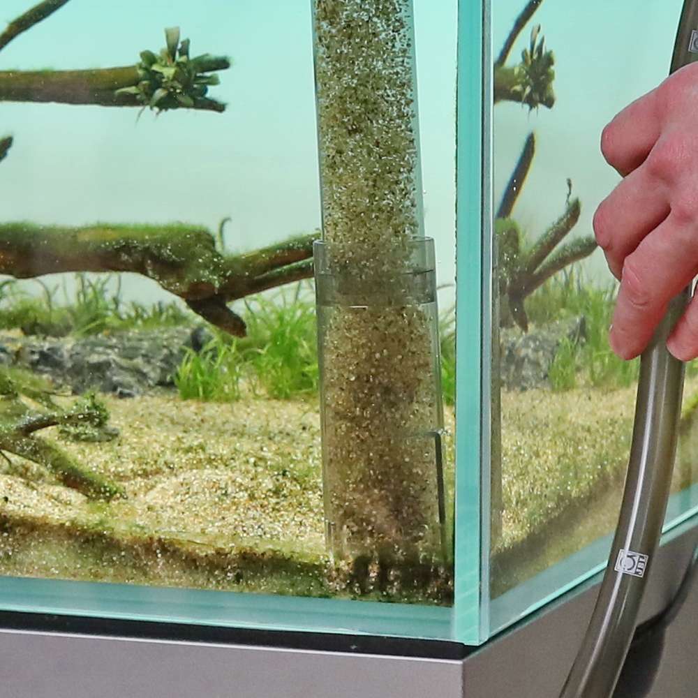 Cloche À Vase Proclean Aqua Ex 45-70