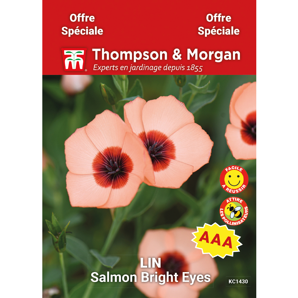 Graines de Lin 'Salmon Bright Eyes'