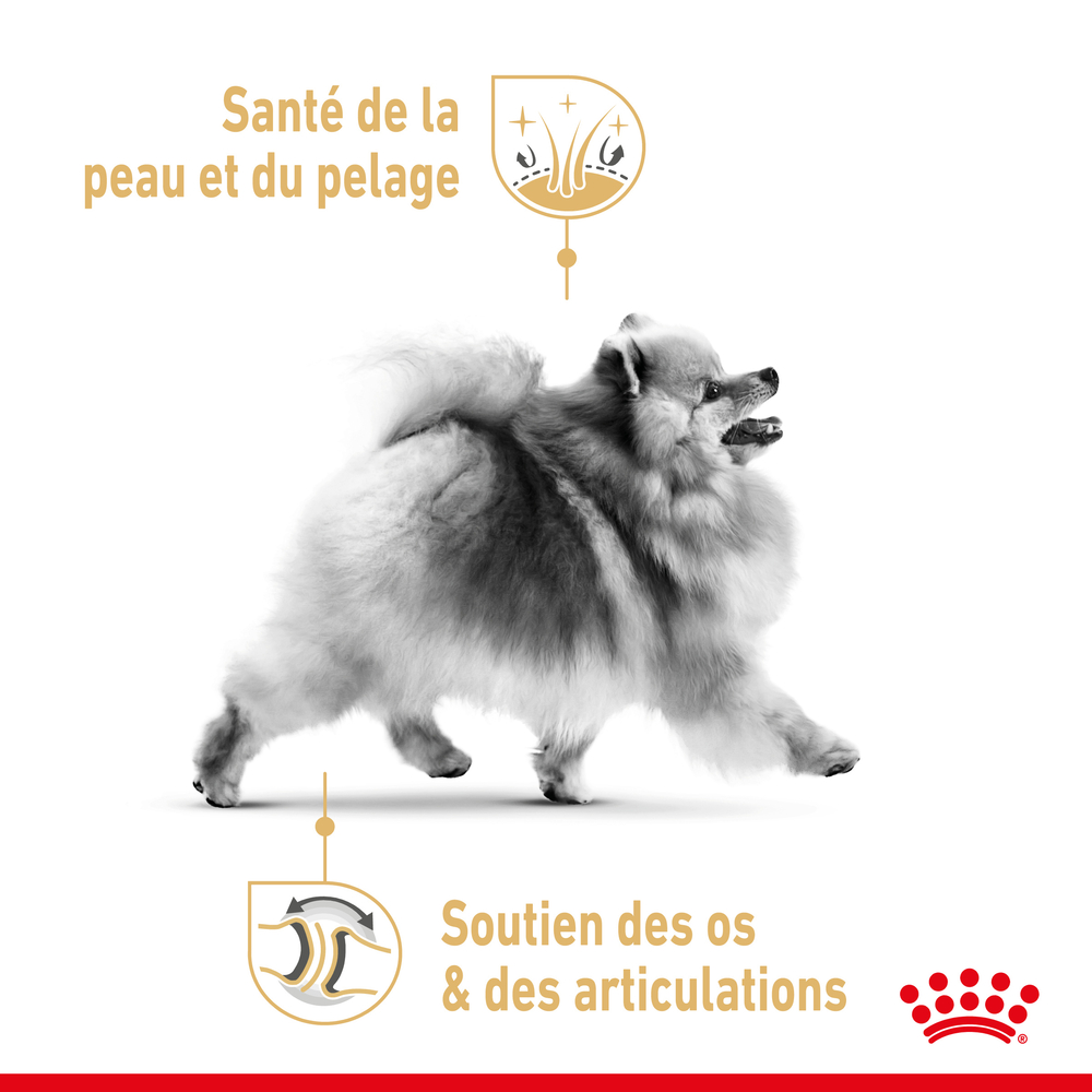 Croquettes chien Pomeranian-Spitz Adulte plus de 10 mois 3kg