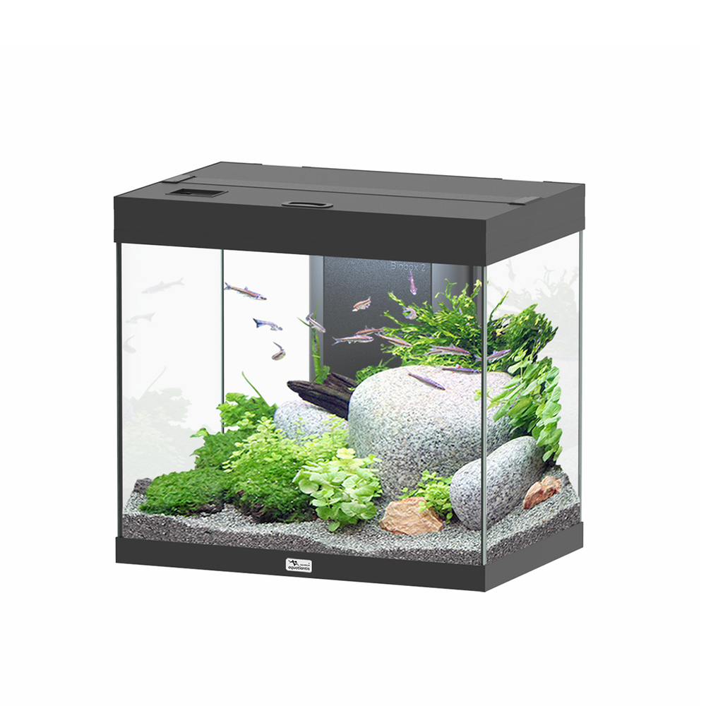 Aquarium équipé Splendid Led 2. 0 Noir L. 60xP. 40xH. 56cm