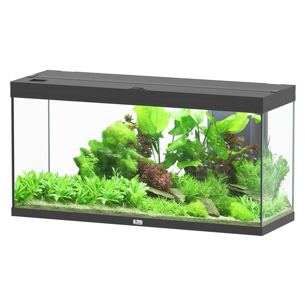 Aquarium équipé Splendid Led 2. 0 Noir L. 120xP. 40xH. 61cm