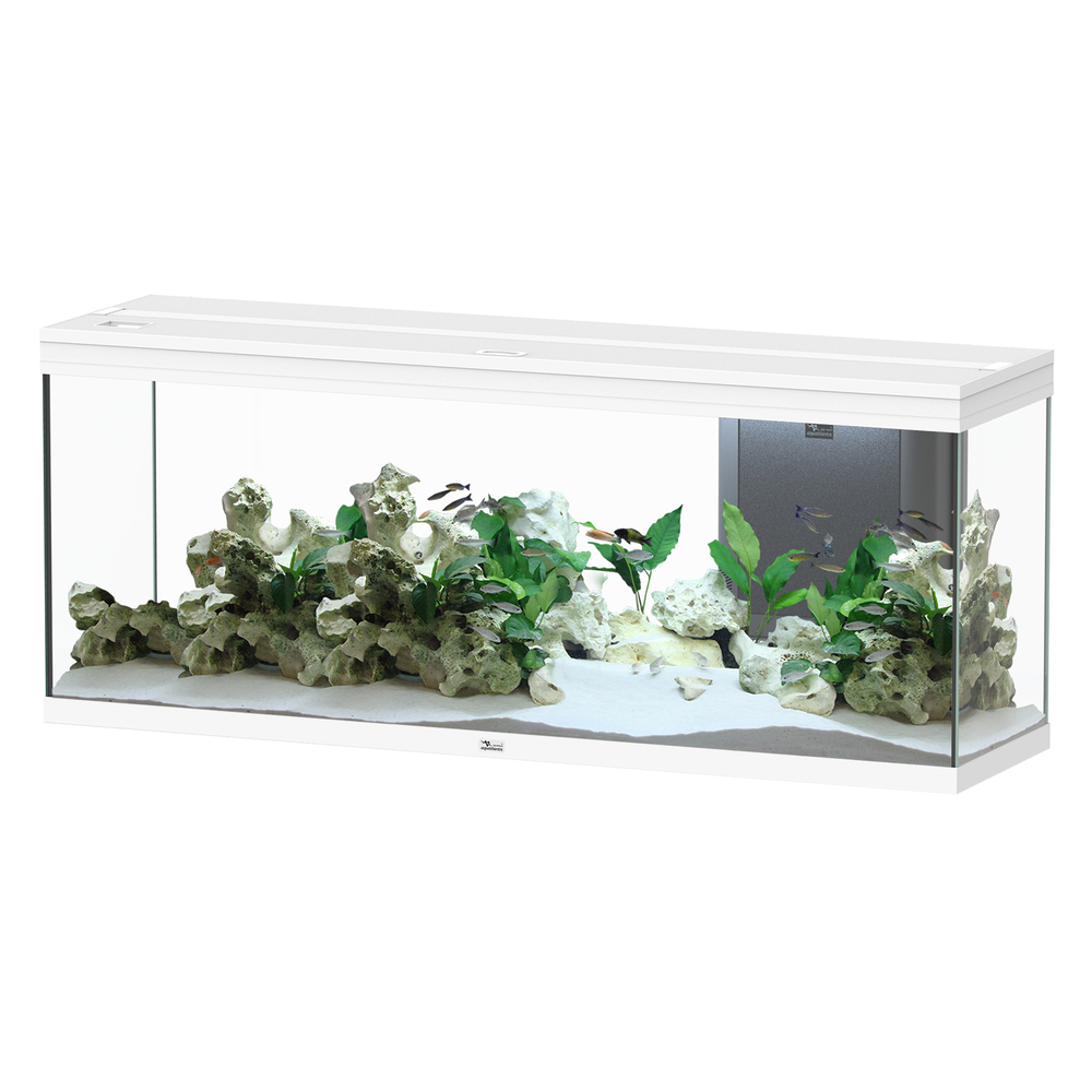 Aquarium équipé Splendid Led 2. 0 Blanc L. 150xP. 40xH. 61cm