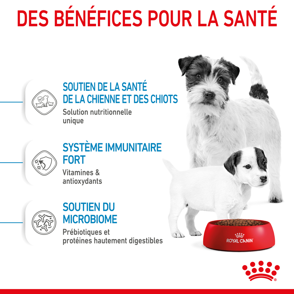 Croquettes pour chien Starter Mother & Baby Mini 4Kg