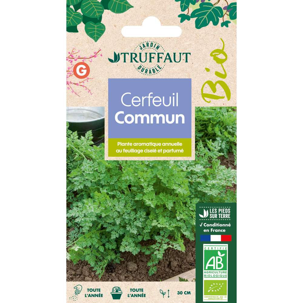 Graines de cerfeuil Commun Bio