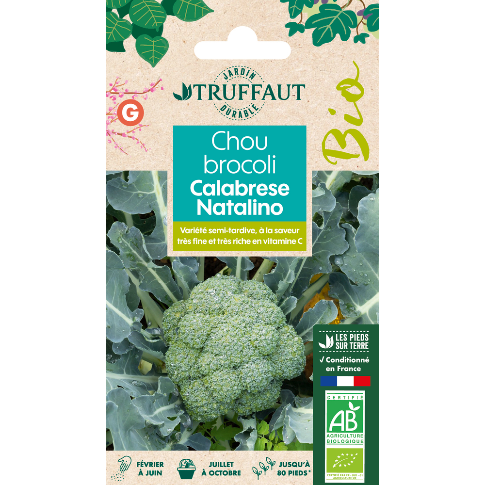 Chou Brocoli Calabrais - 100 graines bio