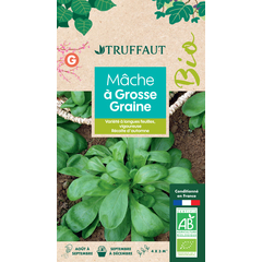 Graines De Mâche Bio ECOCERT – Sachet 3 G – Légume Feuille – Graines Bocquet, Reproductibles