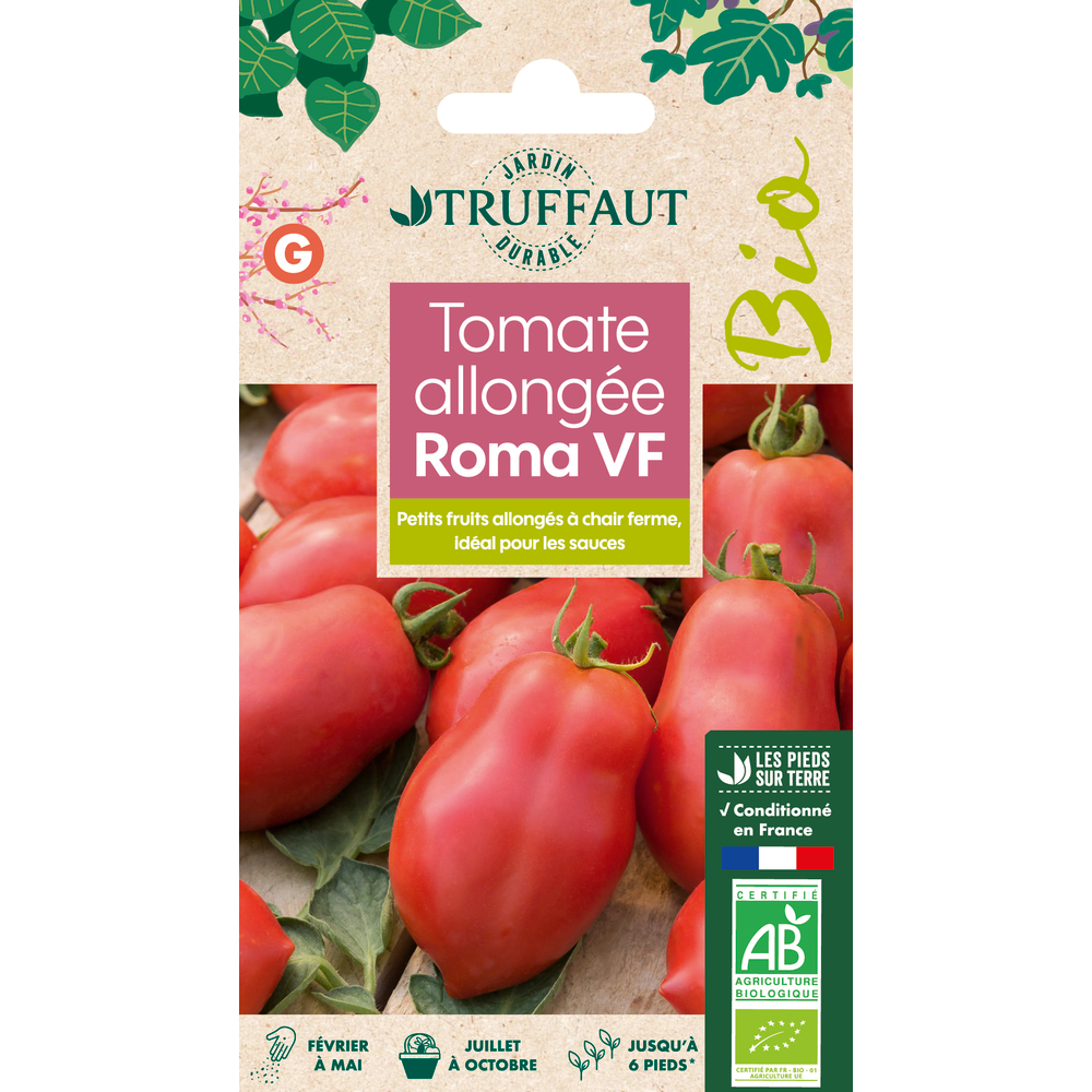Graines de Tomate Roma V. F Bio
