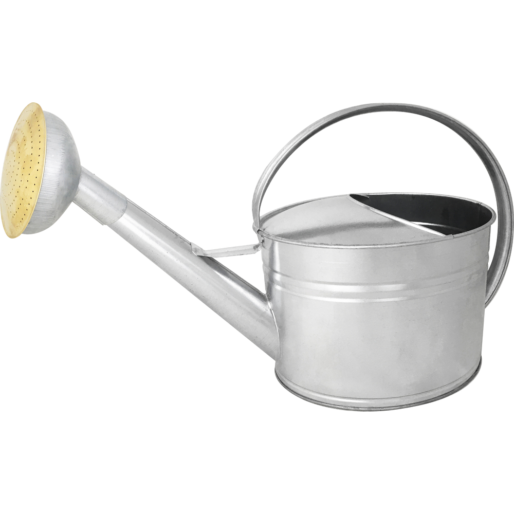 Arrosoir en acier galvanisé avec pomme et grille en laiton 6 litres