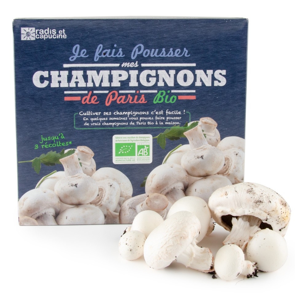 Culture de champignons avec votre propre kit de culture