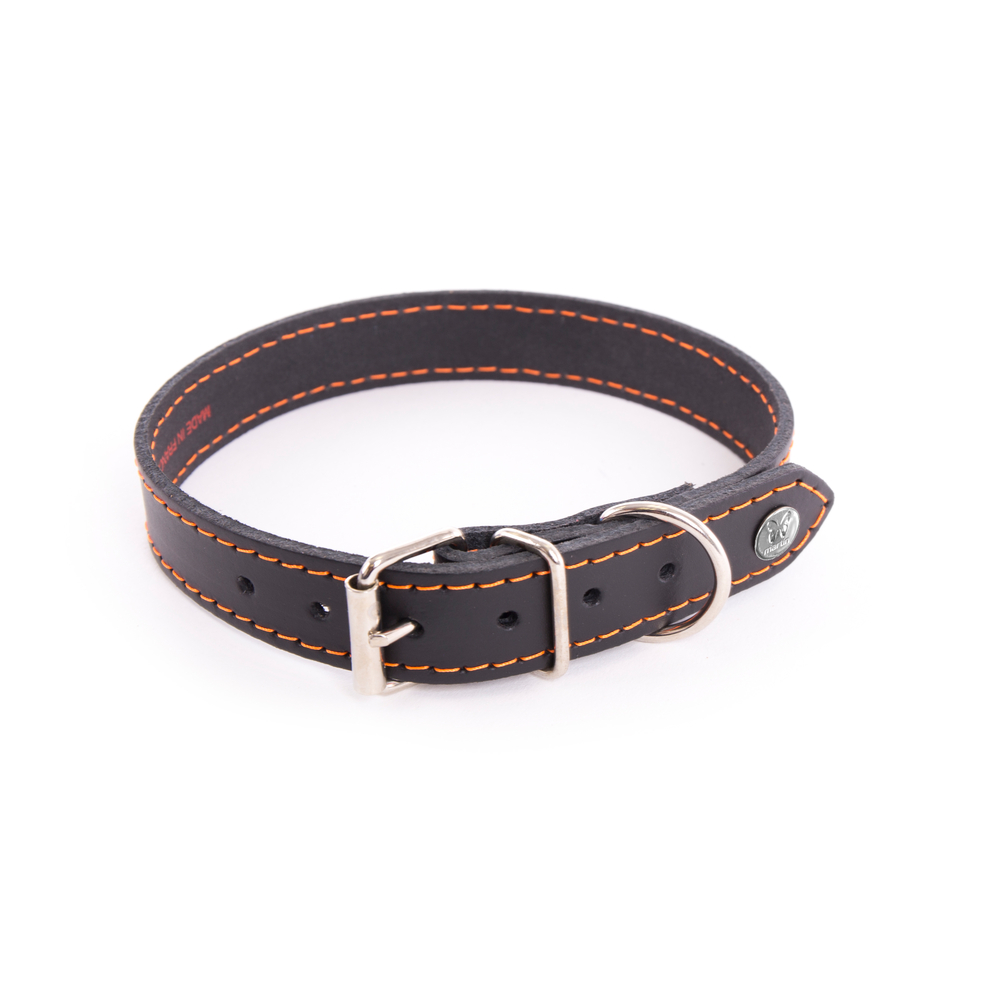 Collier Flash pour chien T. 56 Noir/Orange