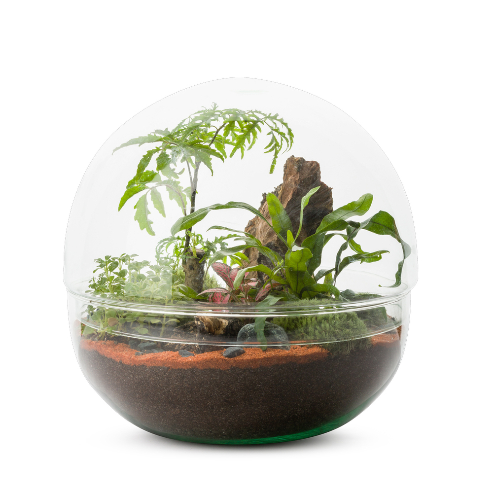 Mini Monde L Mix