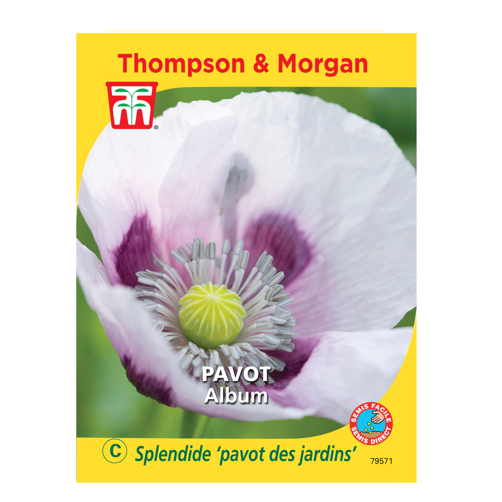 Graines de Pavot Album