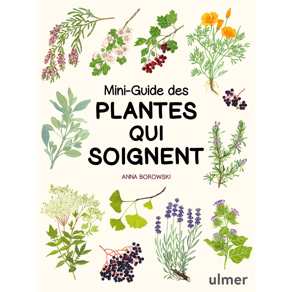 Mini guide des plantes qui soignent