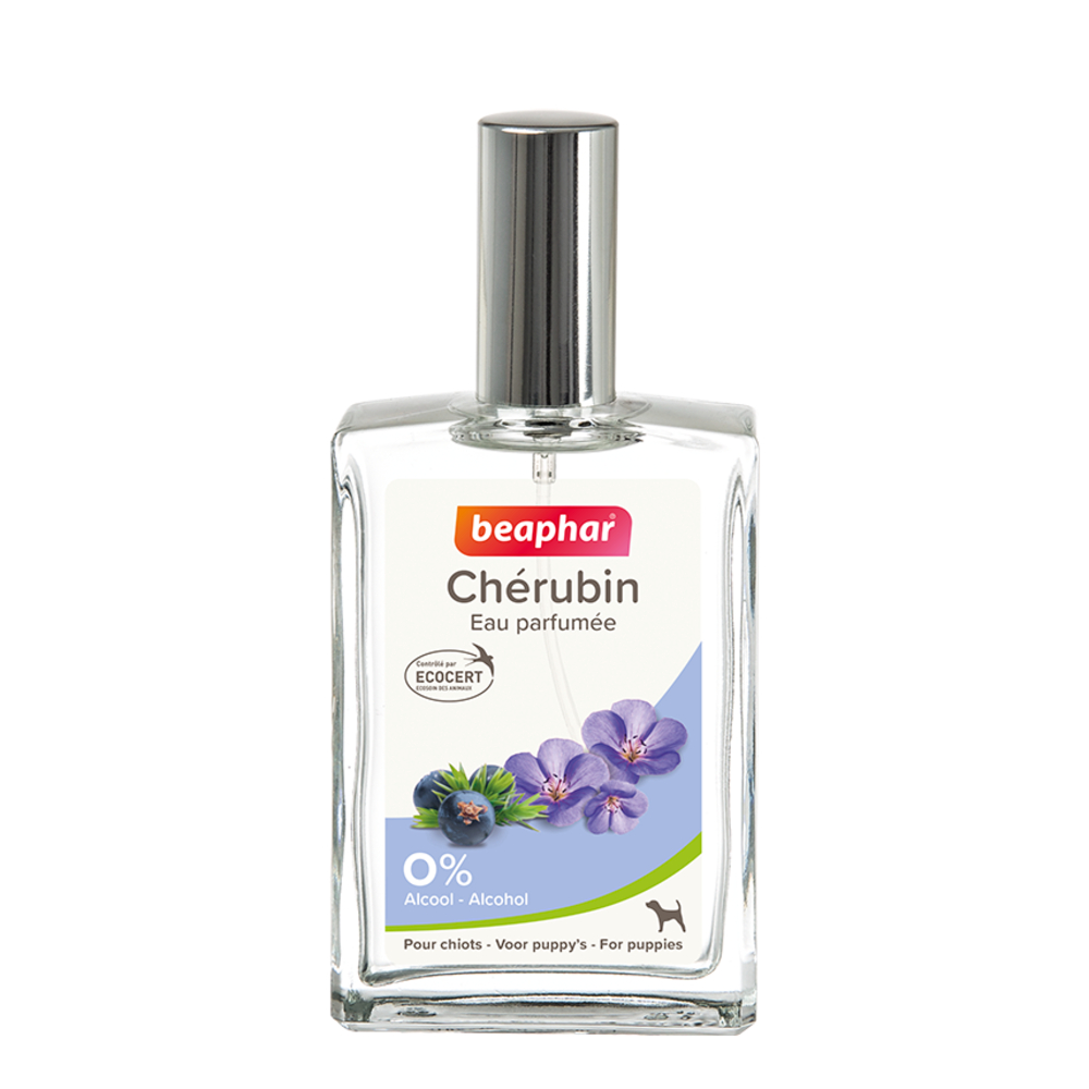 Eau parfumée Chérubin pour chiot - 50 ml