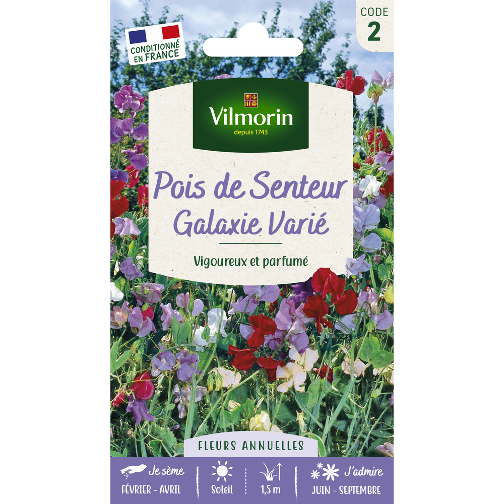 Pois de Senteur Galaxie Varié
