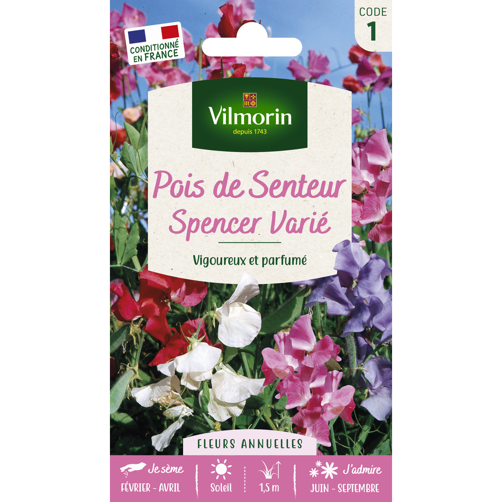 Pois de Senteur Spencer Varié