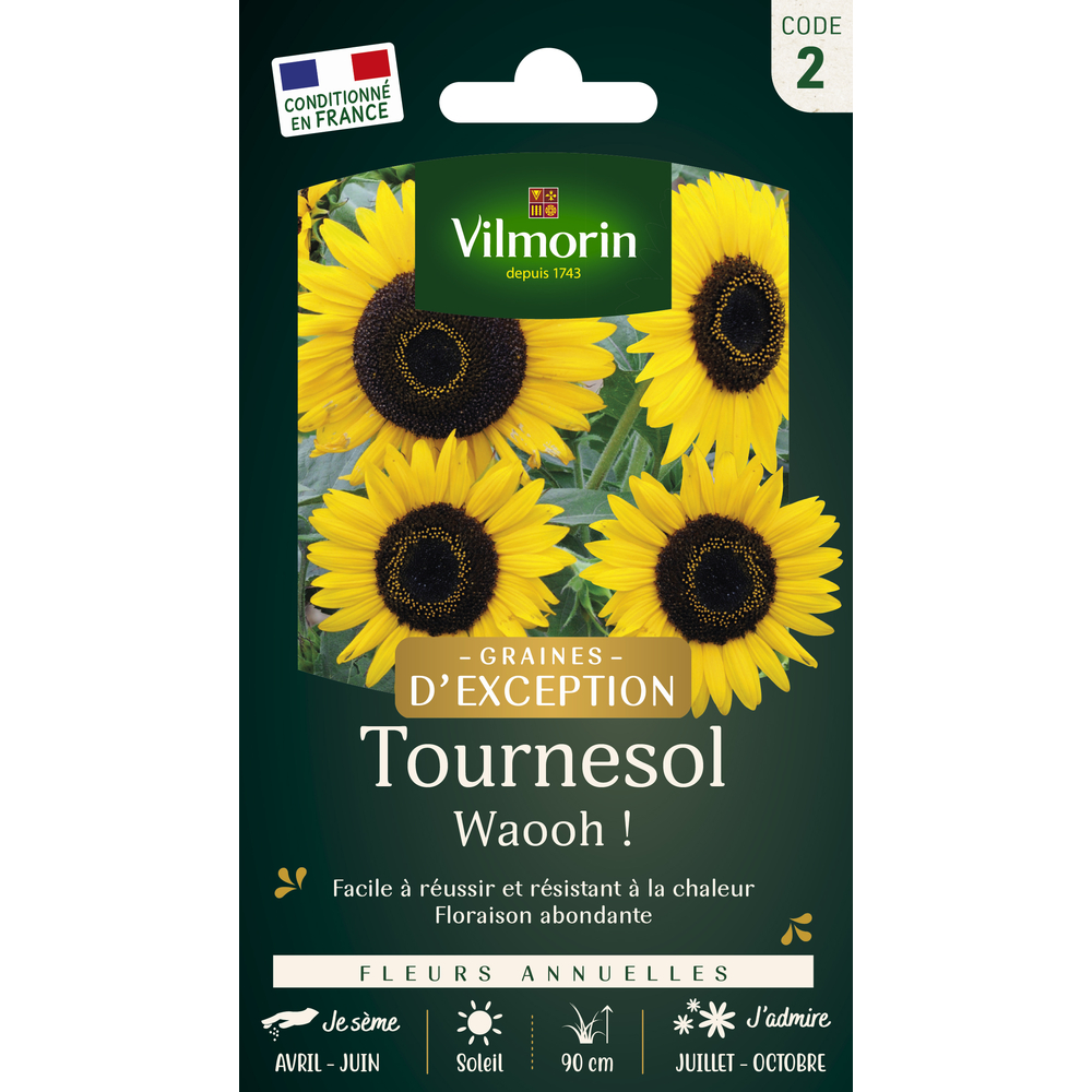 Tournesol Waooh! Graines d'exception
