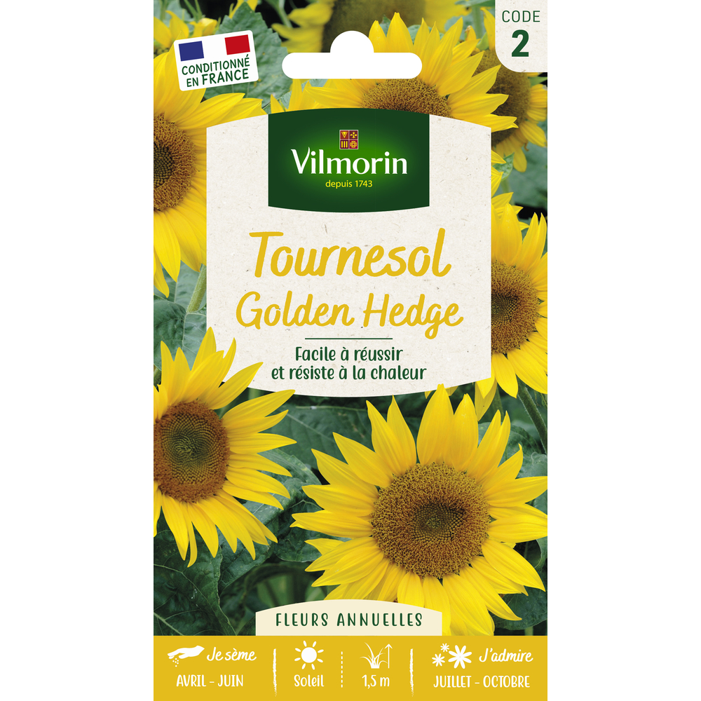Tournesol Golden Hedge