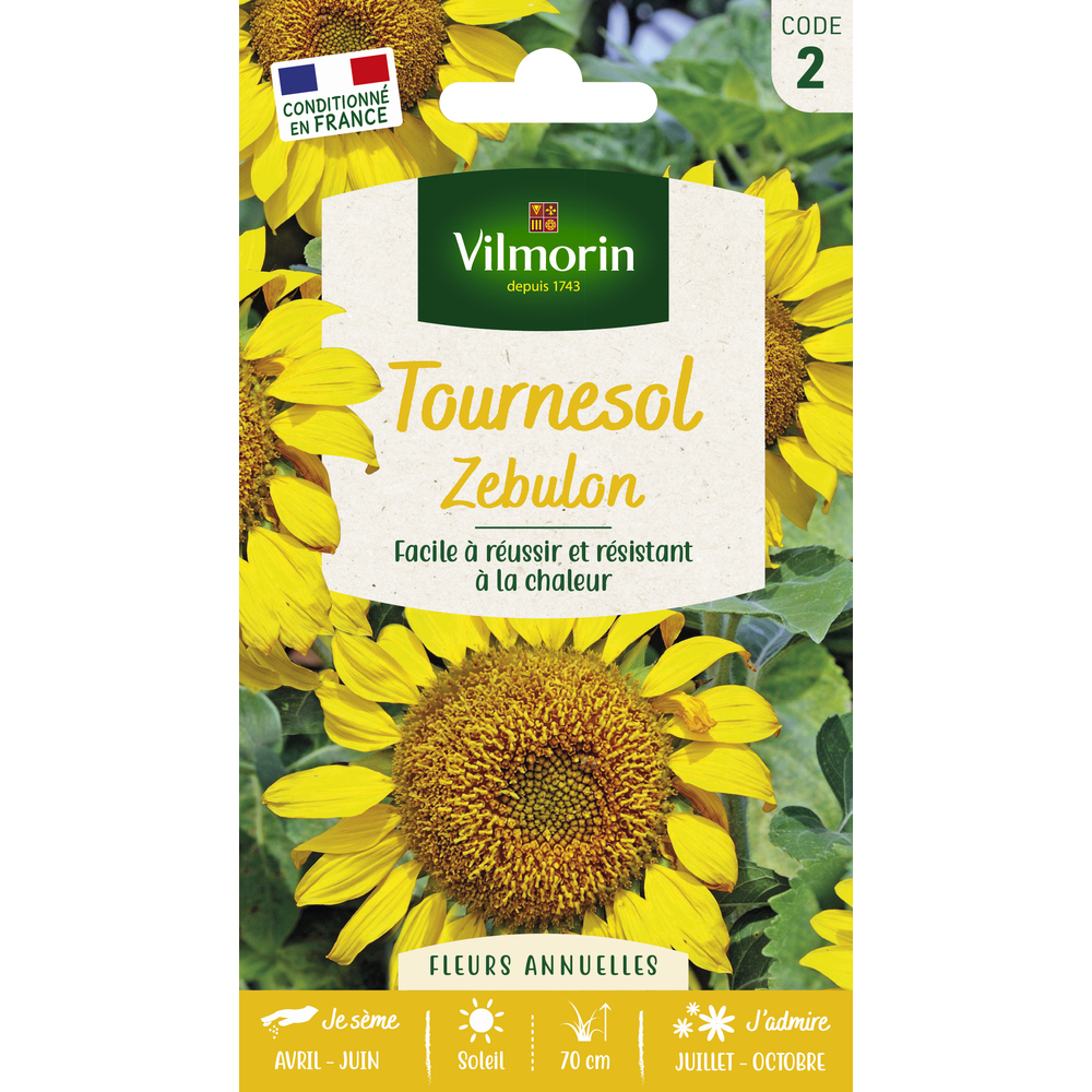 Tournesol Zebulon Pollen Free