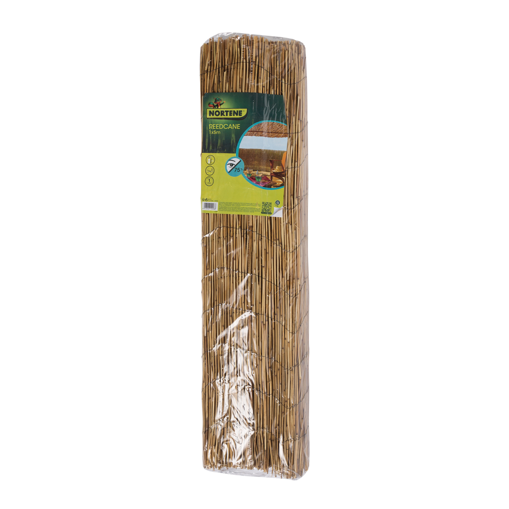 Paillon de roseaux fins Reedcane - 1x5m