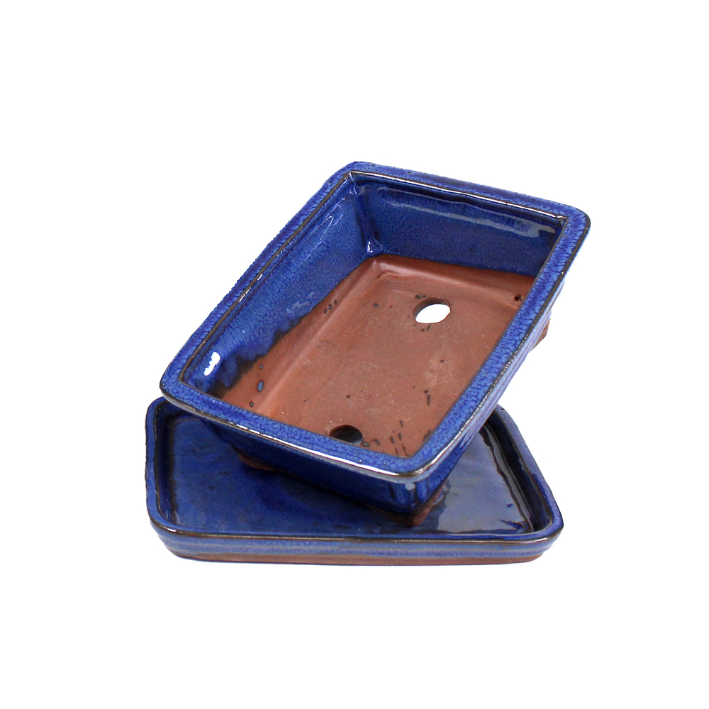 Pot Basic pour bonsaï avec plateau en céramique, coloris bleu - 20cm