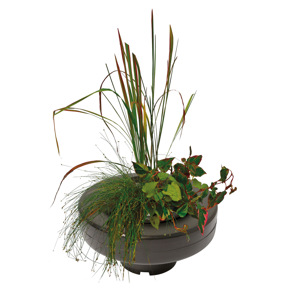 Panier flottant pour plantes de bassin Ø30cm