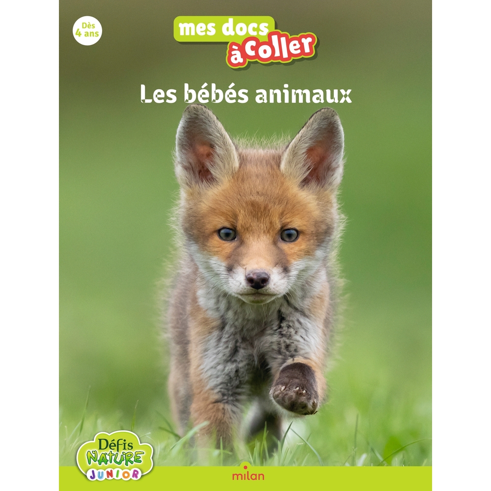 Livre pour enfant, mes docs à coller, les bébés animaux