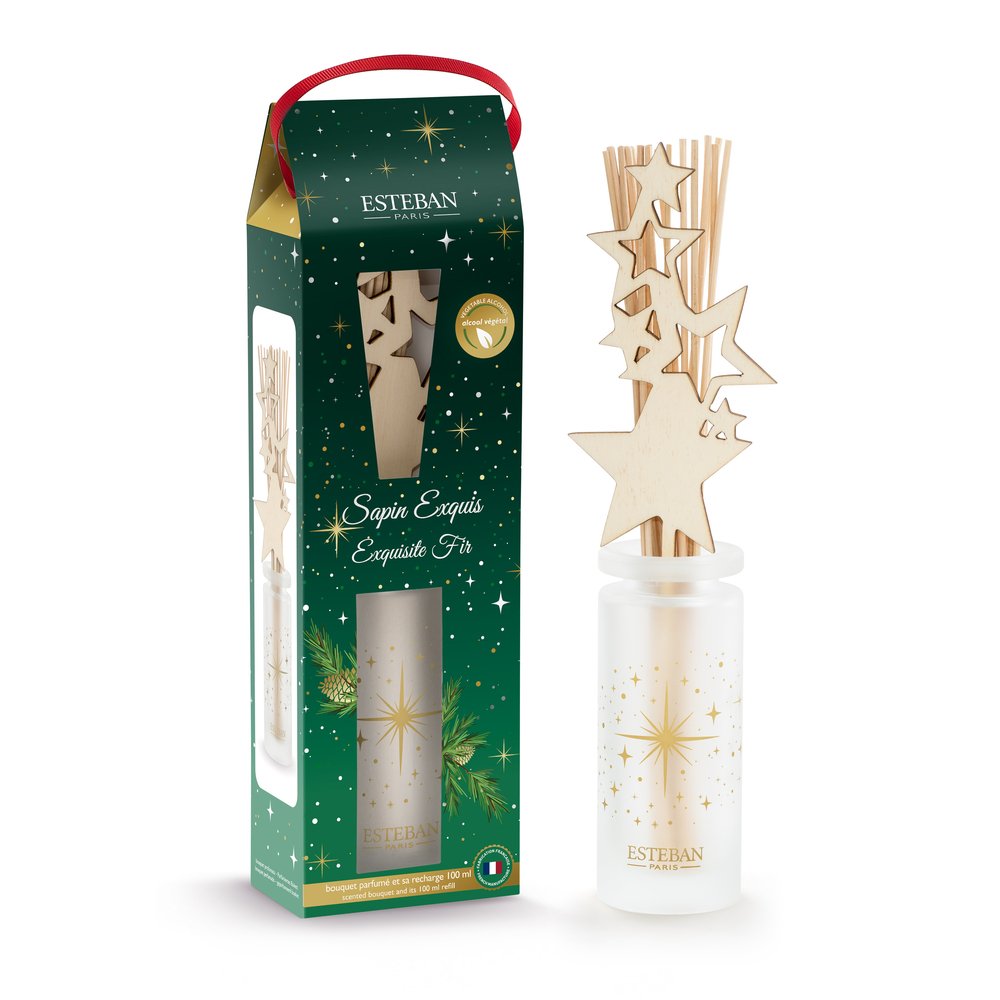 Bouquet parfumé, diffuseur d'ambiance Sapin exquis - 100ml