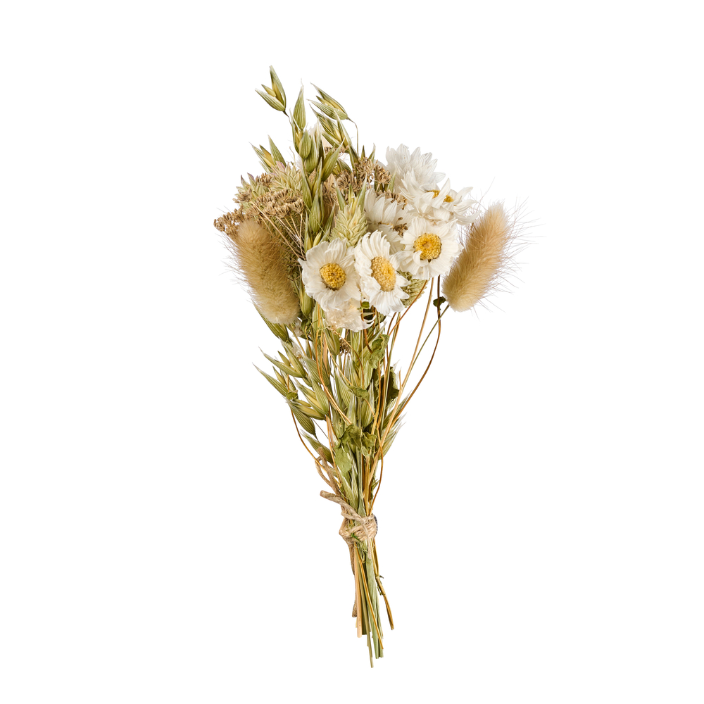 Mini bouquet fleurs séchées naturel/blanc - H. 15cm