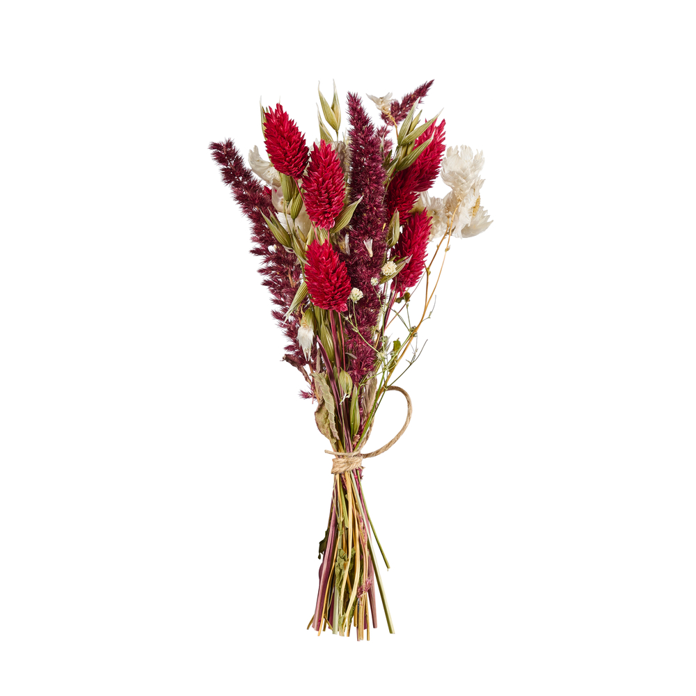 Mini bouquet fleurs séchées rouge/blanc - H. 15cm