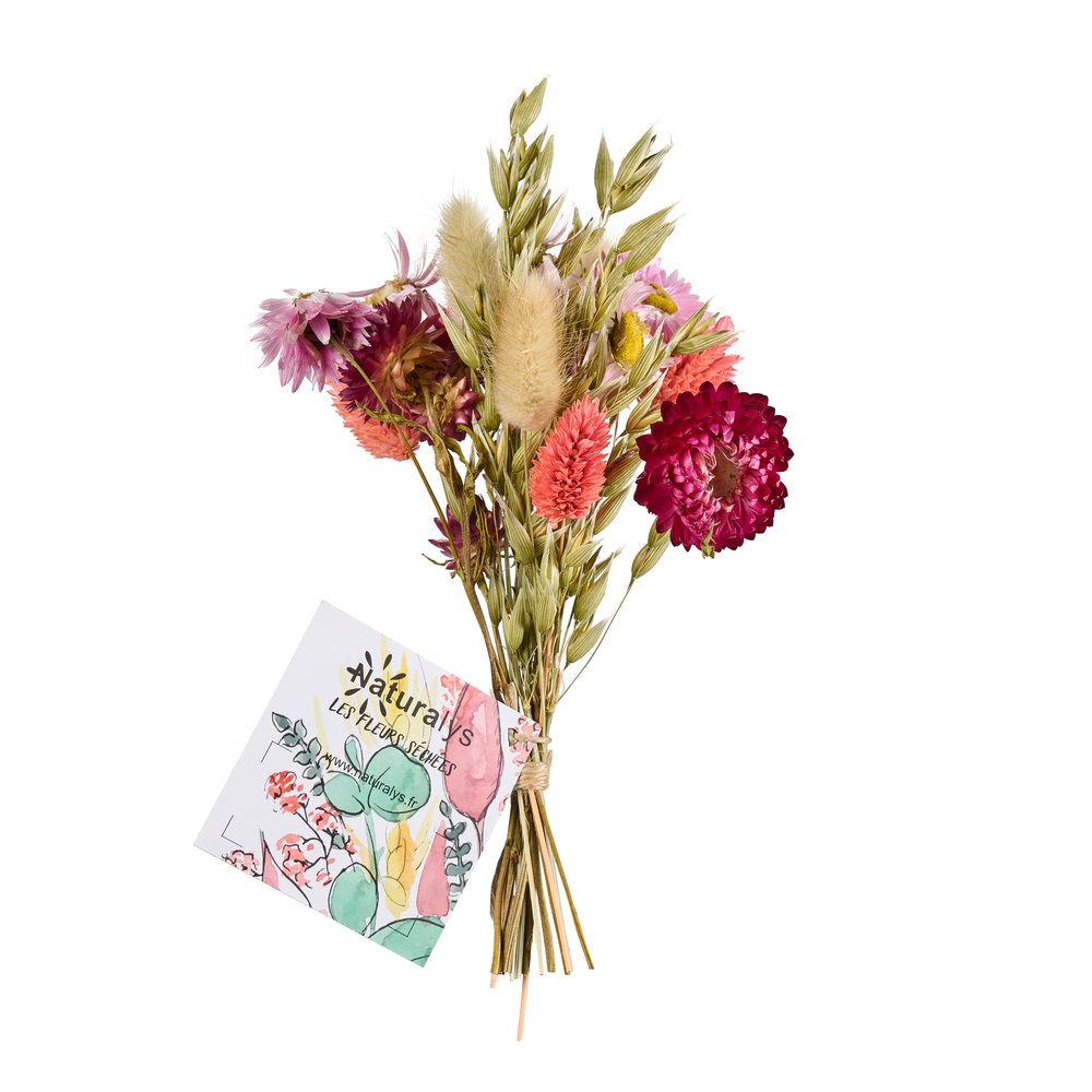 Mini bouquet fleurs séchées fuchsia/corail - H. 15cm