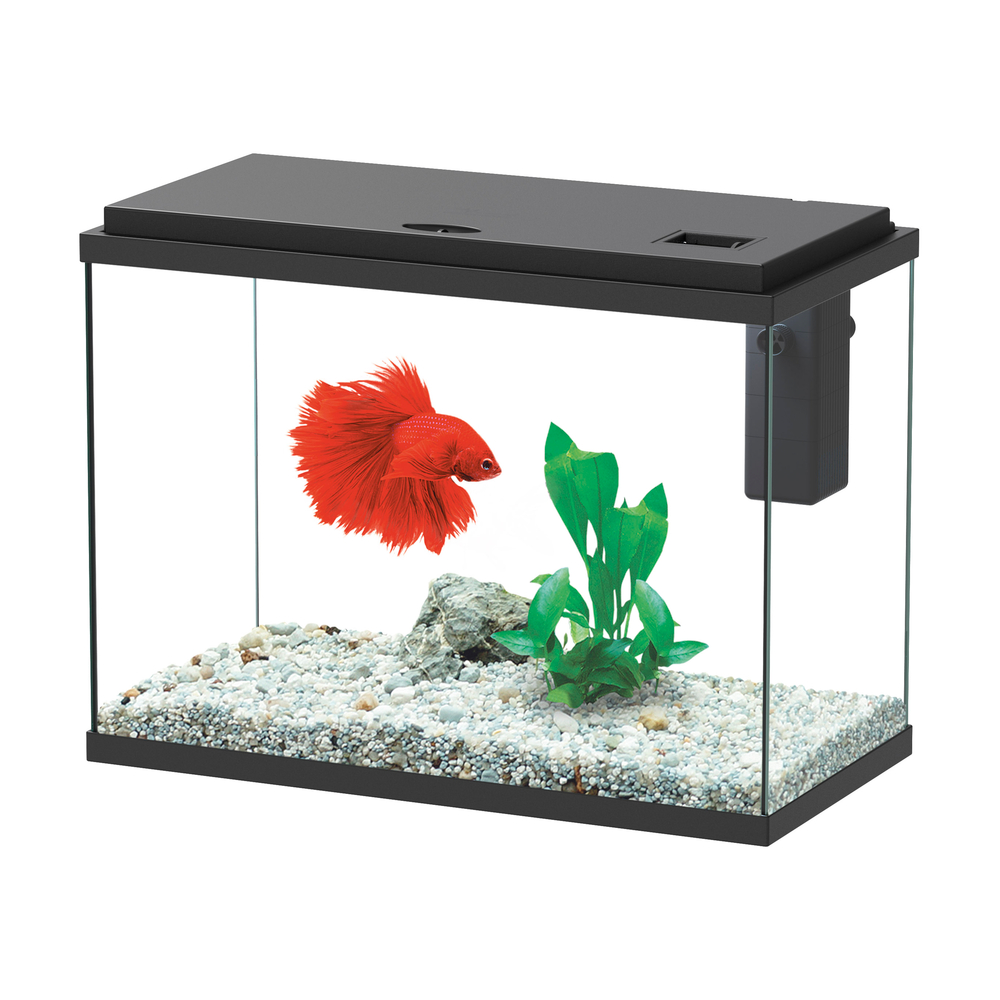 Aquarium ALOE LED équipé noir 24 litres - L. 40,4xP. 20,5xH. 29,2cm