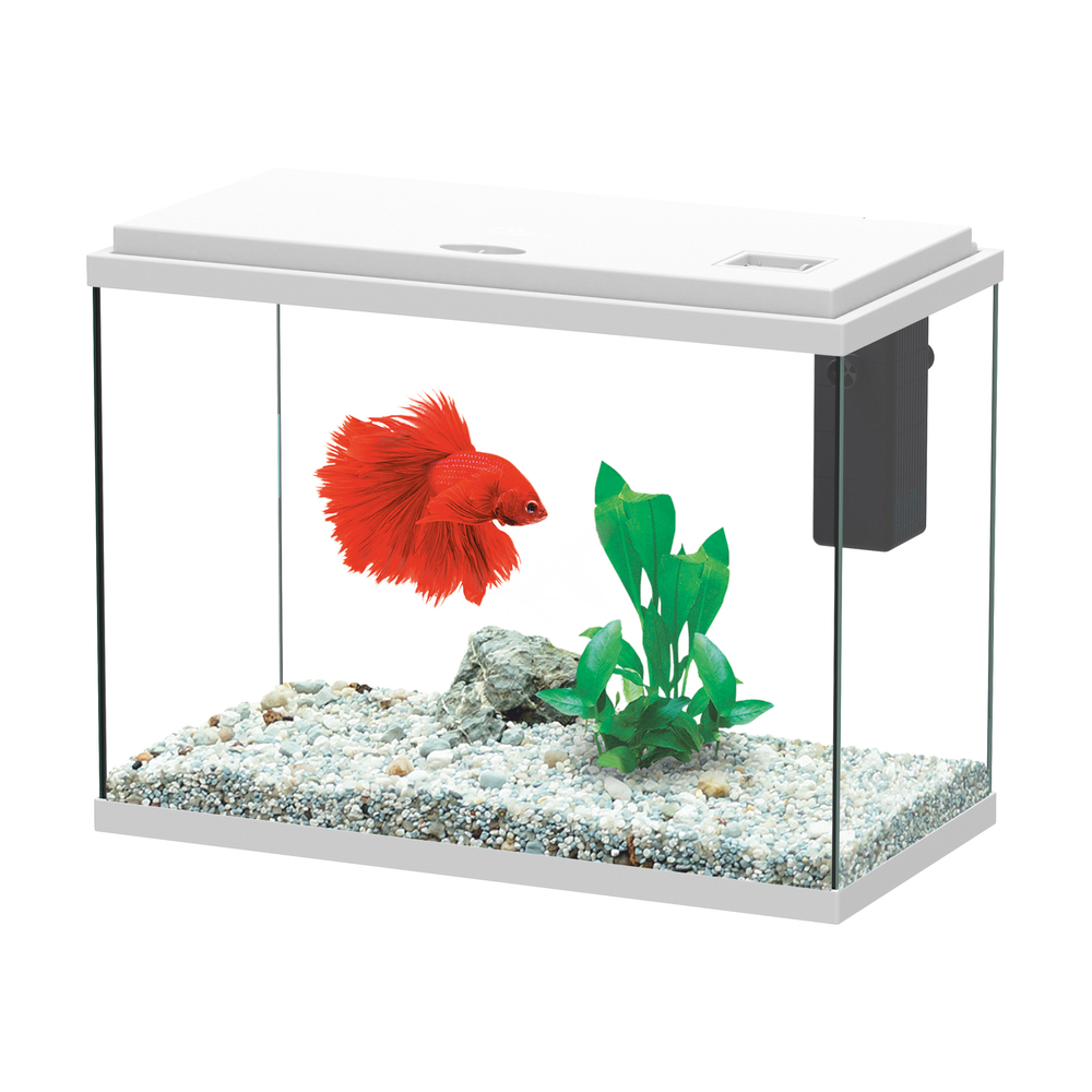 Aquarium ALOE LED équipé blanc 24 litres - L. 40,4xP. 20,5xH. 29,2cm