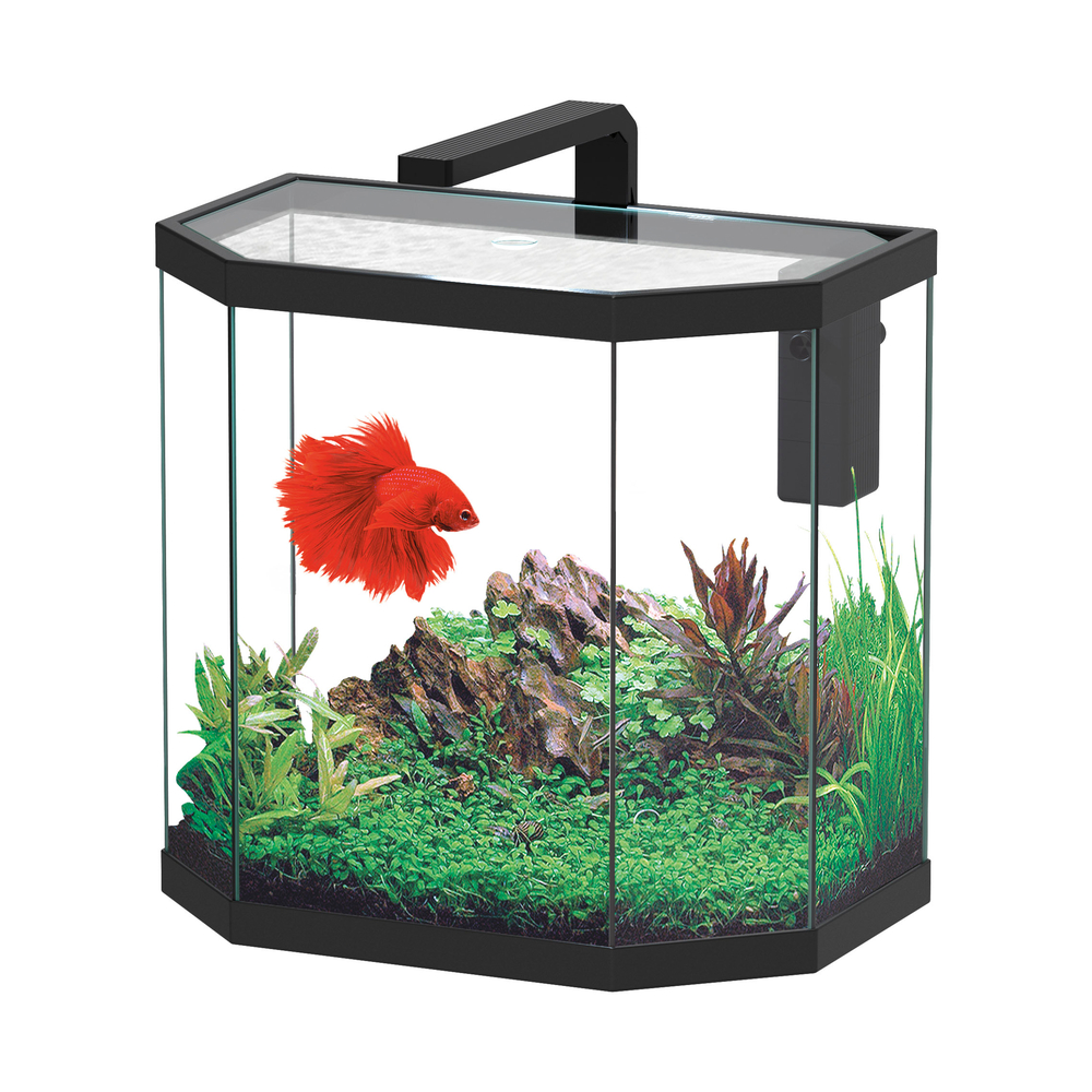 Aquarium OSMOS LED équipé noir 38 litres - L. 40,1xP. 24,6xH. 38,4cm