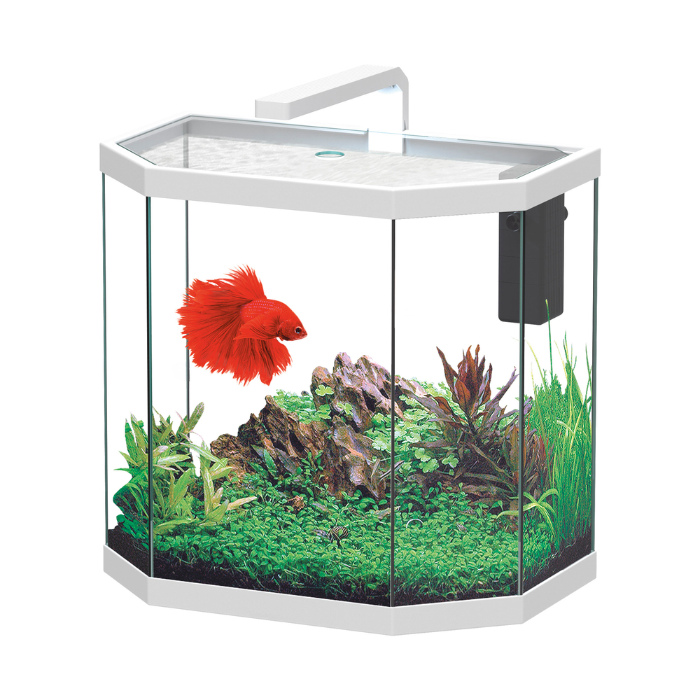 Aquarium OSMOS LED équipé blanc 38 litres - L. 40,1xP. 24,6xH. 38,4cm