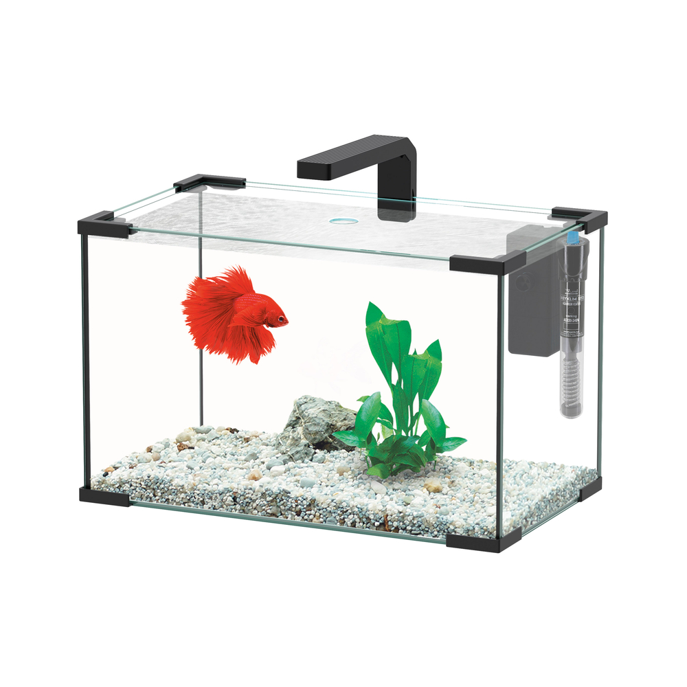 Aquarium JOYA LED équipé noir 23 litres - L. 40,5xP. 23,5xH. 25,4cm