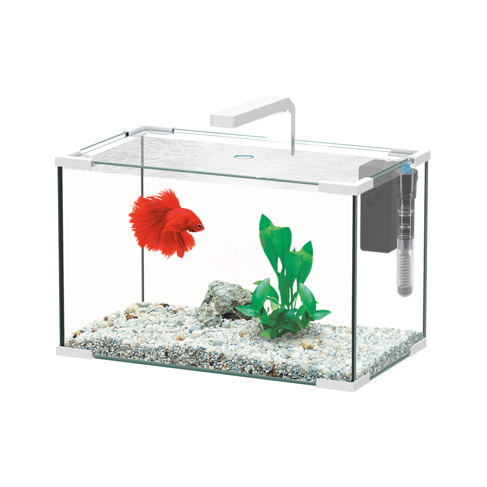 Aquarium JOYA LED équipé blanc 23 litres - L. 40,5xP. 23,5xH. 25,4cm