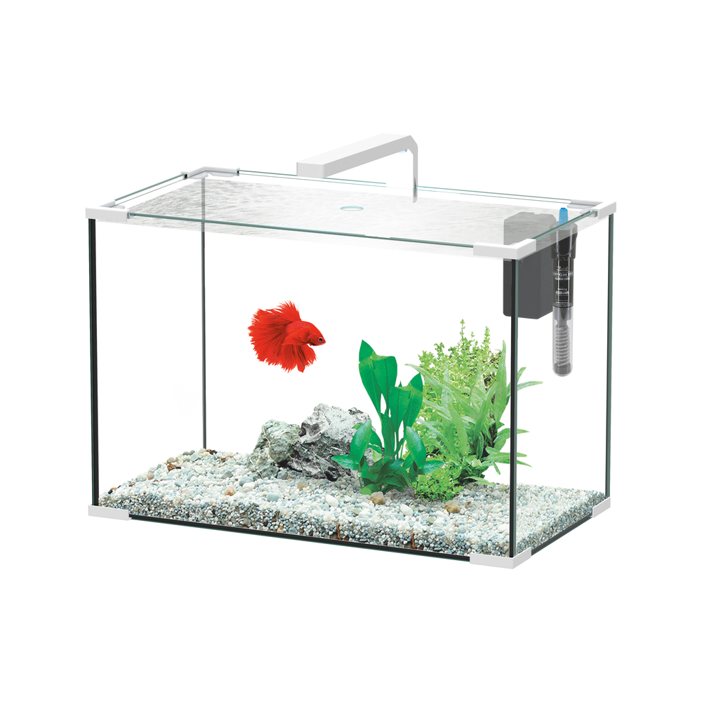 Aquarium JOYA LED équipé blanc 45. 9 litres - L. 50,5xP. 27,5xH. 34,4cm