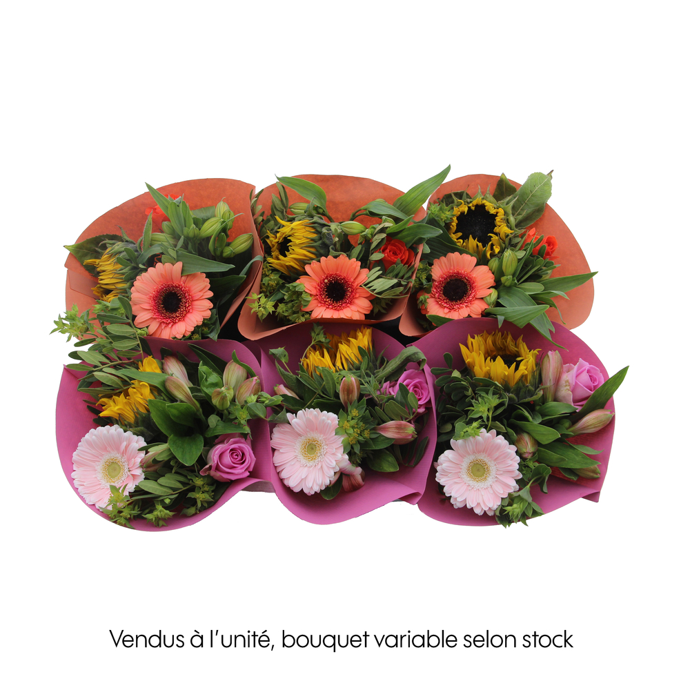 Bouquet de fleurs ''Mini's - Merci maîtresse'' 7 tiges